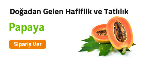 Alanya Papaya Sipariş